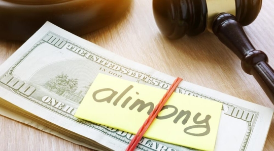 Alimony payment